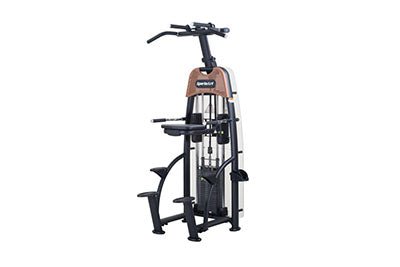 SportsArt N911 Status Selectorized Assisted Chin-Up and Tricep Dip Machine