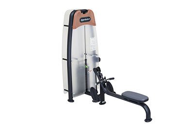 SportsArt N918 Status Selectorized Low Row Machine