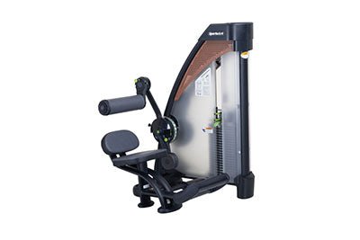 SportsArt N932 Status Selectorized Back Extension Machine