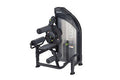 SportsArt DF-306 Performance Dual-Function Back Extension/Abdominal Crunch Machine