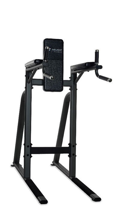 Inflight Fitness Vertical Knee Raise and Dip Station