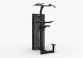 Spirit CSD-PUDA Assisted Pull-Up/Dip Machine