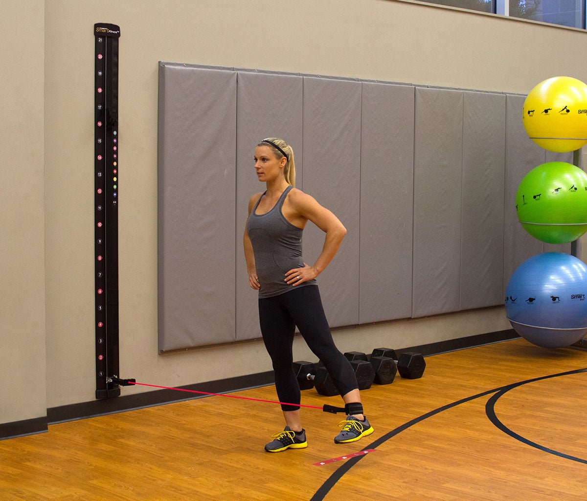 Prism Fitness Smart Resistance Wall Gym Kit