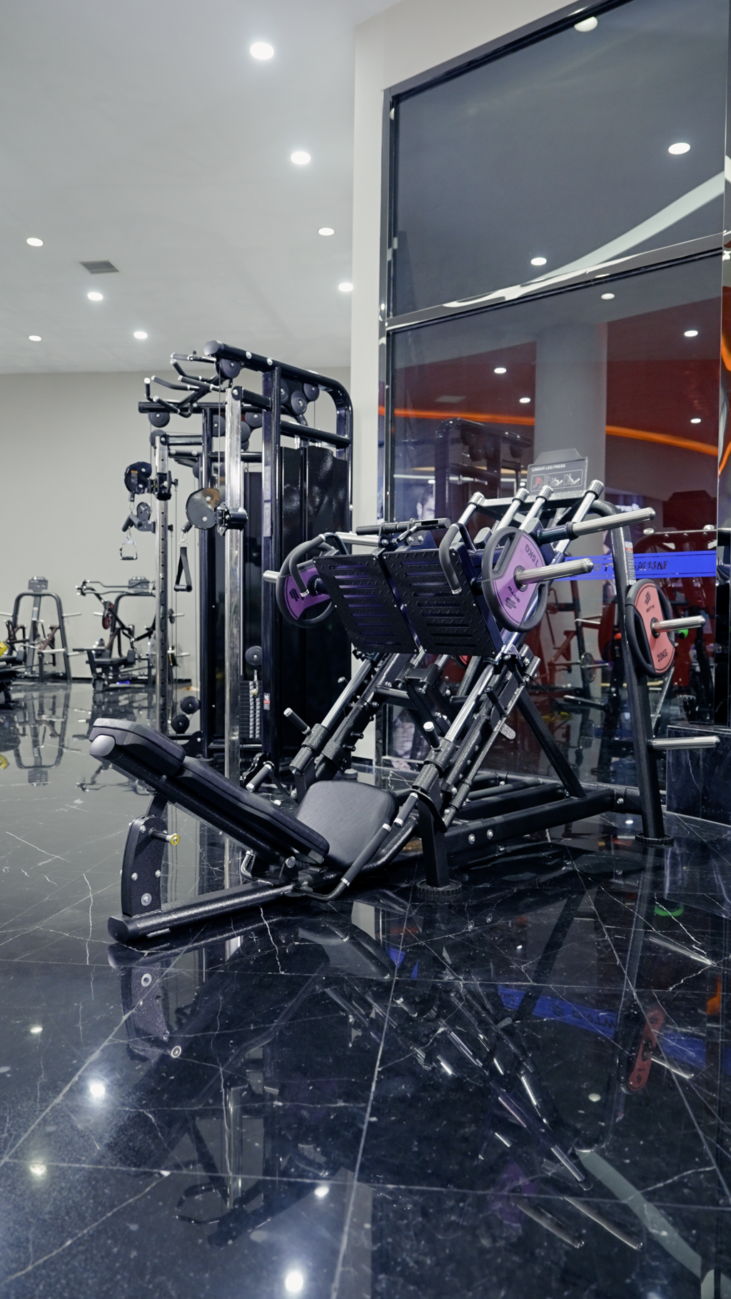 The Quadzilla ISO Leg Press