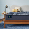 Serta Perfect Sleeper X Hybrid Mattress
