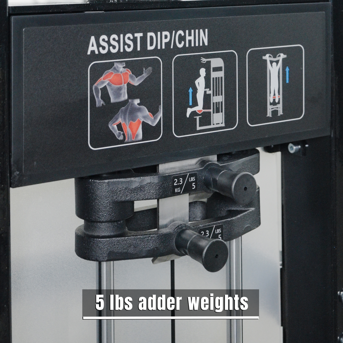 Dip/Chin Assist
