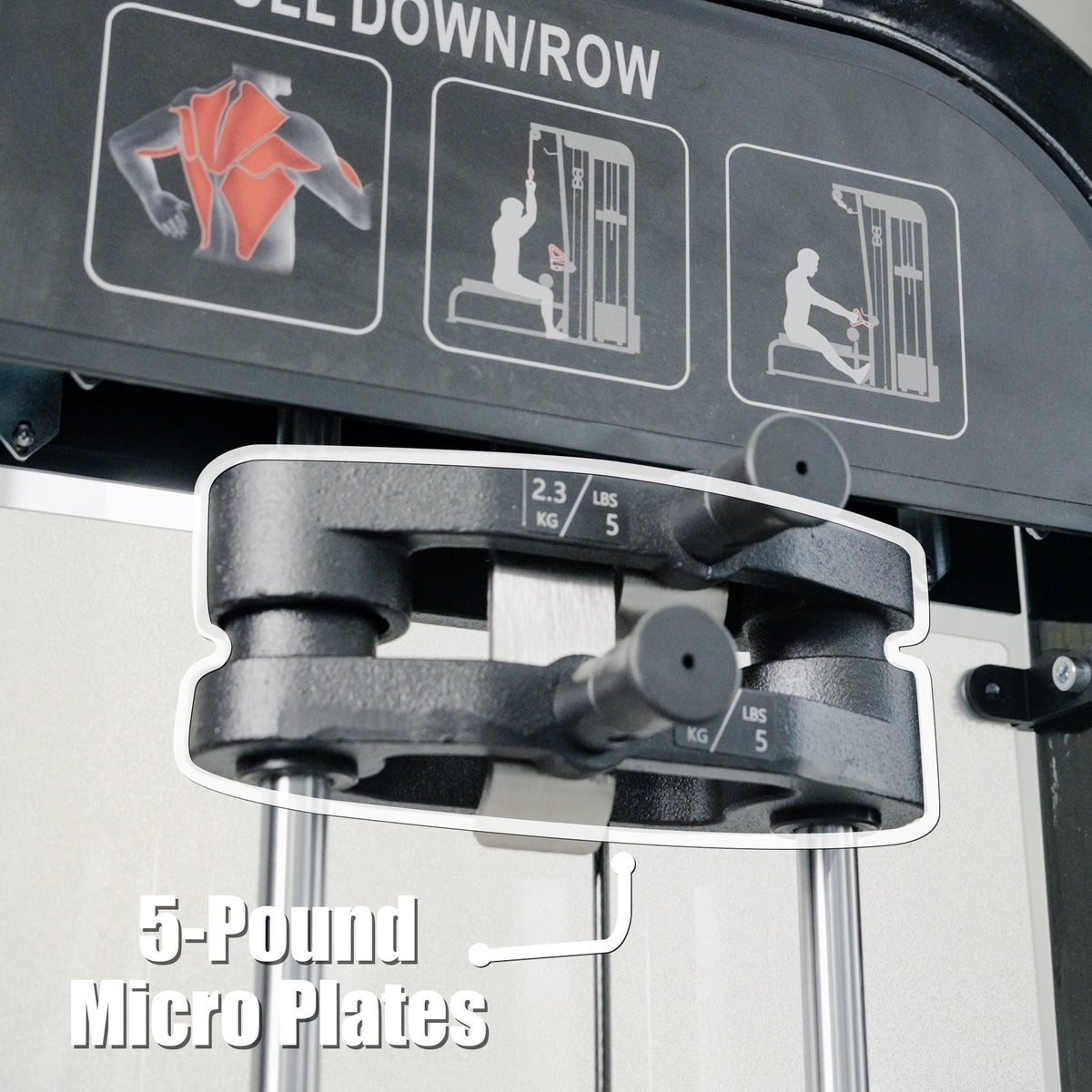 Lat Pulldown/Low Row