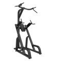 AR80 Chin Up/Dip & Knee Up