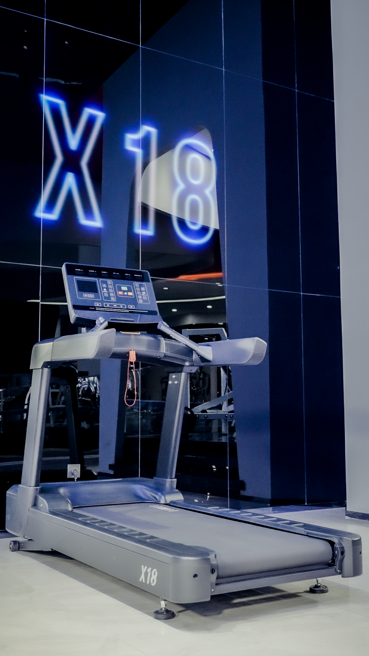 The NitroStep Treadmill