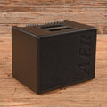 AER Compact 60 (3) Acoustic Amp w/ Road Case - John Oates
