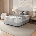 Aireloom Preferred Collection - Timeless M2