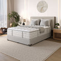 Aireloom Preferred Collection - Timeless Odyssey Luxe Top - M2+ Plush