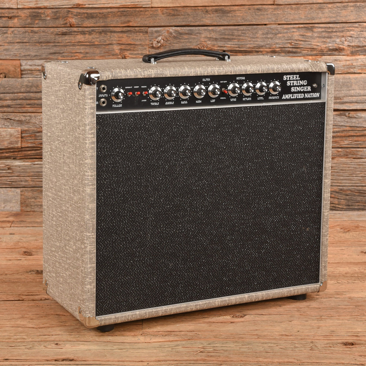 Amplified Nation Steel String Singer 50-Watt 1x12" Guitar Combo Amp