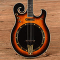 Gold Tone EBM-5 Electric Banjo Sunburst 2023