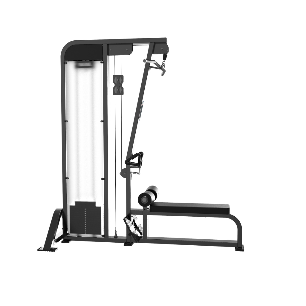Lat Pull Down and Row Machine