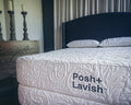 Posh + Lavish Reveal