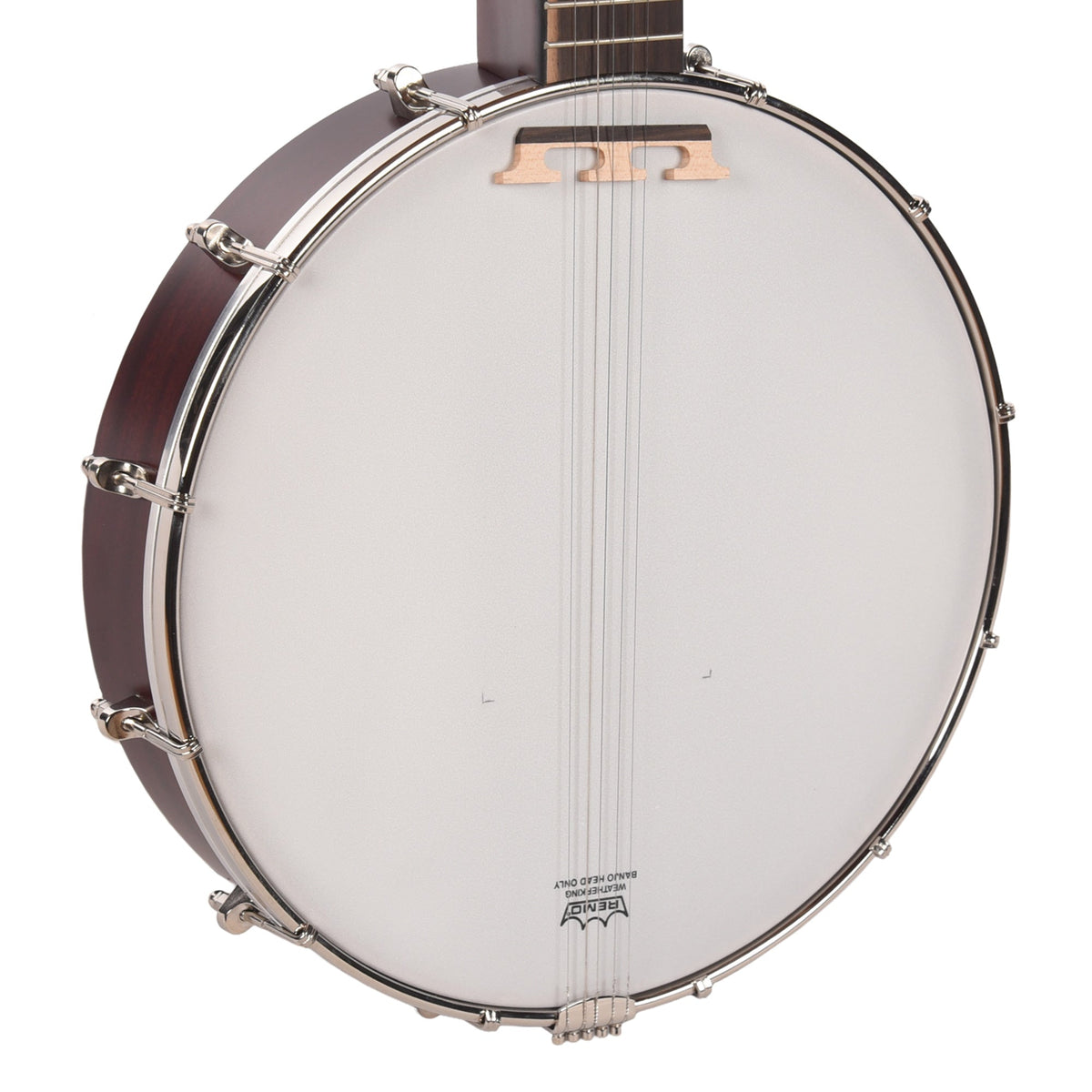 Recording King Dirty 30s Open Back Banjo