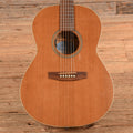 Seagull Coastline S6 Folk Cedar Natural