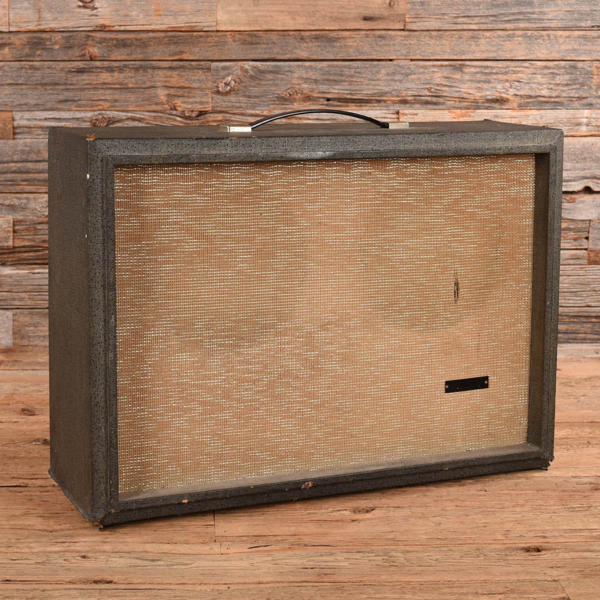 Silvertone Twin 12 Head and Cab  1967