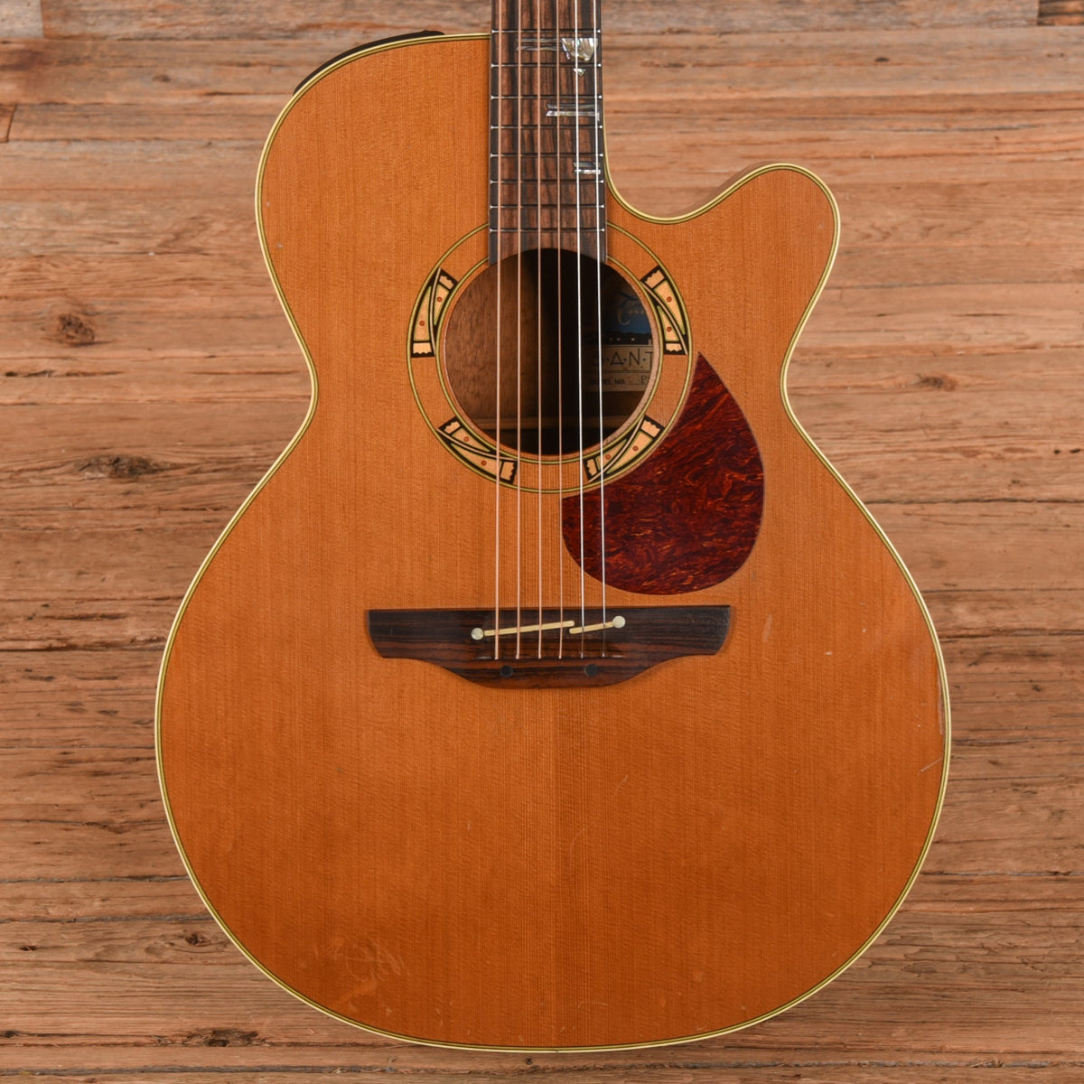 Takamine Santa Fe PSF-94 Natural 1994